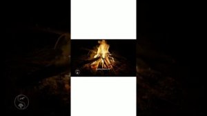 Ева Герман 🌹