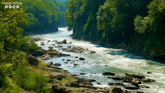 Musica Relajante Curativa De Estres, Ansiedad Y Estados Depresivos 🌿 Sanar Cuerpo Y Alma
