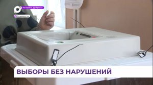 Наблюдатели: за два дня на выборах президента РФ ни одного нарушения не было