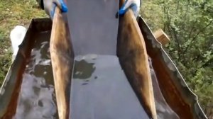 Россыпное золото,  лотком