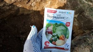 Посадочная яма для винограда.