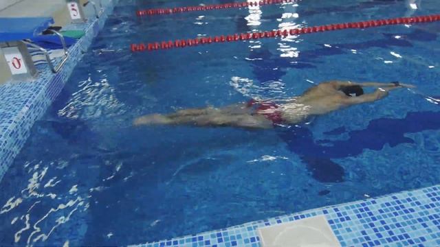 Упражнения на технику брасс для фридайверов
