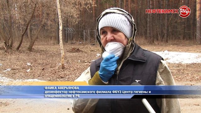 Аллеи, парки и леса обрабатывают от клещей смотреть онлайн