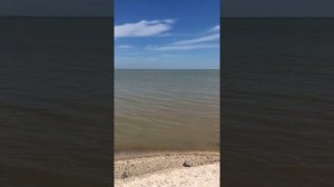 Ейск.Нижнесадовая. И что же я обнаружила на заднем дворе