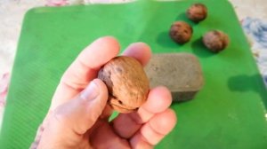 КАК  ЛЕГКО КОЛОТЬ ТВЕРДЫЕ ОРЕХИ. ХРАНЕНИЕ ОРЕХОВ В ДОМАШНИХ УСЛОВИЯХ