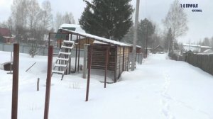 Дачные хищники. Нападение собак на людей и животных