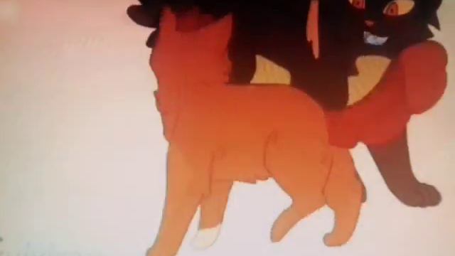 Белка и Ежевика - клип #делайпосвоему смотреть онлайн