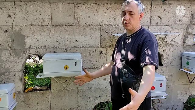 Измайлов не дурак))) смотреть онлайн