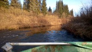 Водомет Карась - потеря тяги из-за травы