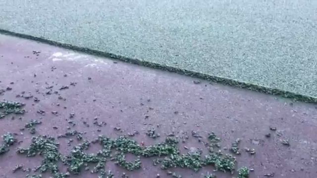 Спортивное ✅ зеленое ✅ покрытие