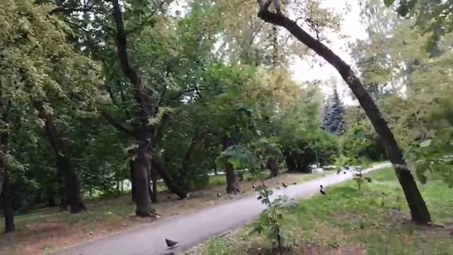 Парки.Харитоновский парк.Пруд.Екатеринбург. 1.