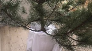 Старинный способ как установить ЕЛКУ чтобы она не падала и не осыпалась ? Лайфхак