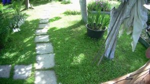 день рождения брата 22