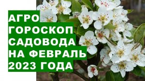 Агрогороскоп садовода на февраль 2023 года. Агрогороскоп садівника на лютий 2023 року