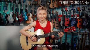 Обзор акустической гитары TERRIS TC-3805A NA