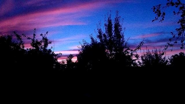 Воскресная школа_урок 6. Грехопадение. смотреть онлайн