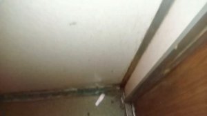 Лифты @ Большая Зелёновская ул., 62/2, Подольск, Мос. область, Россия