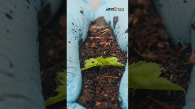 Строительство фундамента Надежные подрядчики на СтройВсёПодряд #стройвсеподряд #b2b #b2bmarketing