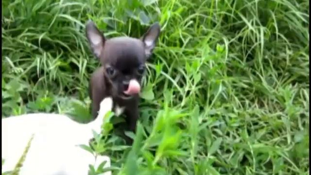 мальЧИШКИ смотреть онлайн