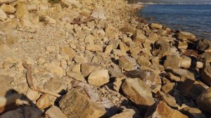 #1.Серия //Вокруг Черного моря пешком по берегу// ДЖУБГА-СОЧИ (Джубга - Лермонтово)