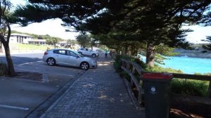 Port Campbell Walk & Talk | Great Ocean Road Tour