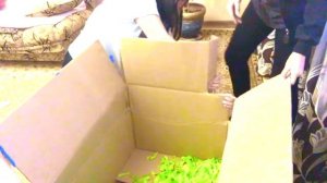 сюрприз для лучшей подруги на день рождения (surprise box)