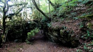 Волшебные звуки ДУДУКА и ПОЛЁТ ДУШИ! Duduk. The most beautiful music for the soul!