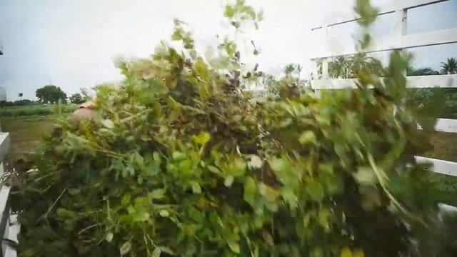 roots reggae inna mantra style смотреть онлайн