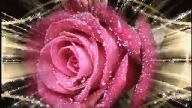 ФУТАЖ РОЗА смотреть онлайн