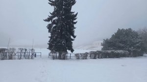 Новочеркасск.Отличный Зимний Денёк