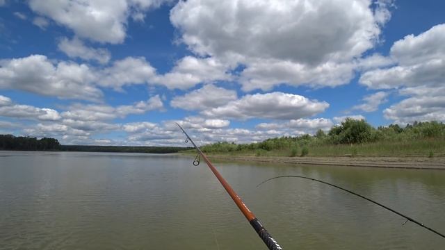 ТО ЩУКА ДУРОМ,ТО НЕ КЛЮЕТ-ПОЕМ!!!Рыбалка на Оби,Коряги,пески,судак ,окунь. смотреть онлайн