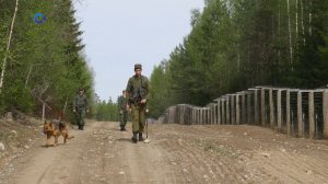 Сегодня в России отмечают День пограничника