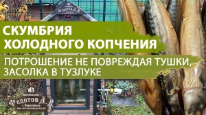 Потрошим рыбу, не вспарывая брюшко. Скумбрия холодного копчения.  Засолка в тузлуке.