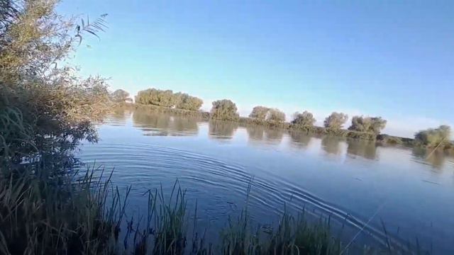 Рыбалка на Днестре (Глубокий Турунчук ) 2022г. #рекомендации #рыбалка смотреть онлайн
