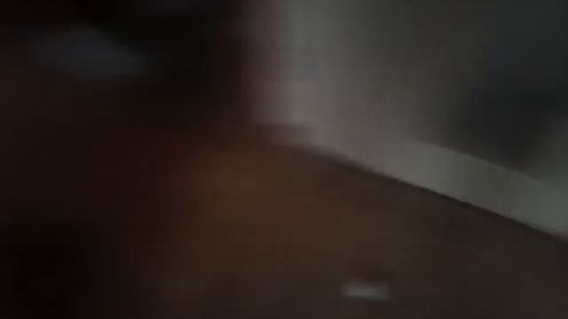 Котенок играет в футбол) смотреть онлайн