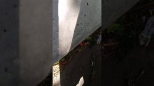 1ZZ-FE плавают обороты, на холодную