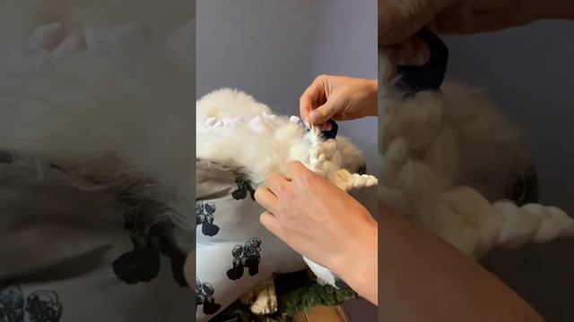Плетение первых прядей | Косы | Пудель