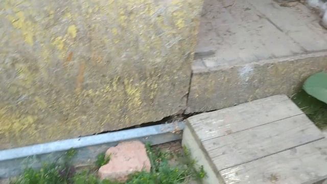 Дачные Пеструшки 2018 смотреть онлайн