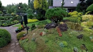 Красивый сад в Чехии. Miniarboretum u Holubů. Большая хвойная коллекция, и не только....  1 часть.