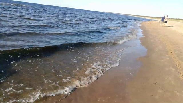 Секреты астрологии. Стихия Воды.