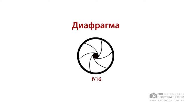 Уроки фотографии - Экспозиция в фотографии