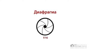 Уроки фотографии - Экспозиция в фотографии