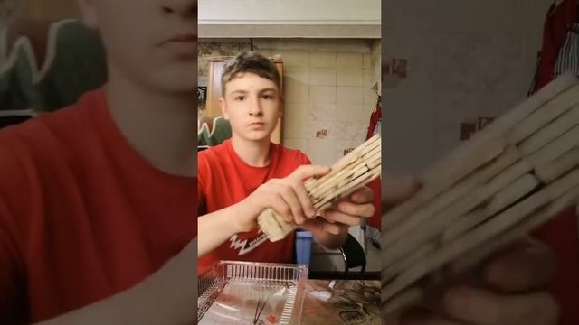 Обзор на пм из дерева смотреть онлайн