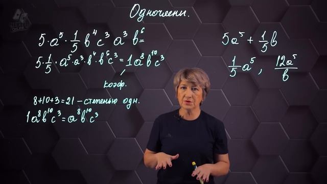 14_Одночлены. 7 класс.