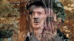 Красивый, обаятельный, талантливый Максим Матвеев и его  Фильмография