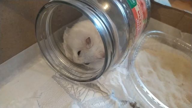 милые фото и видео, часть 4