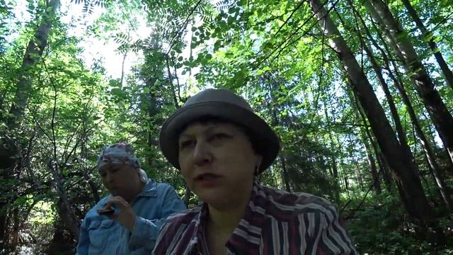 Кайф! Бродим по пермским лесам. 29 мая смотреть онлайн