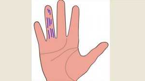 Хиромантия.  Линии на пальцах.