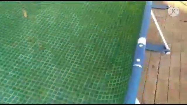Отмечаем  окончание учебного года ?