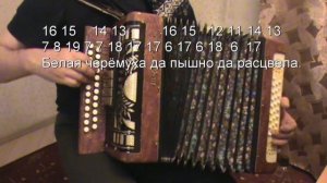 Возле дома нашего разбор с цифрами